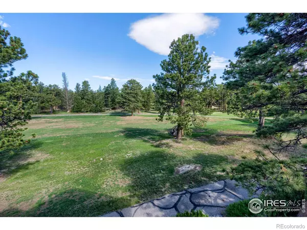 Red Feather Lakes, CO 80545,530 W Fox Acres DR