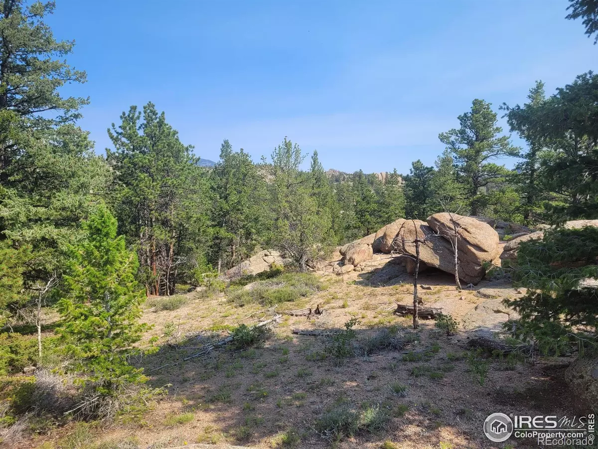 Red Feather Lakes, CO 80545,615 W Fox Acres