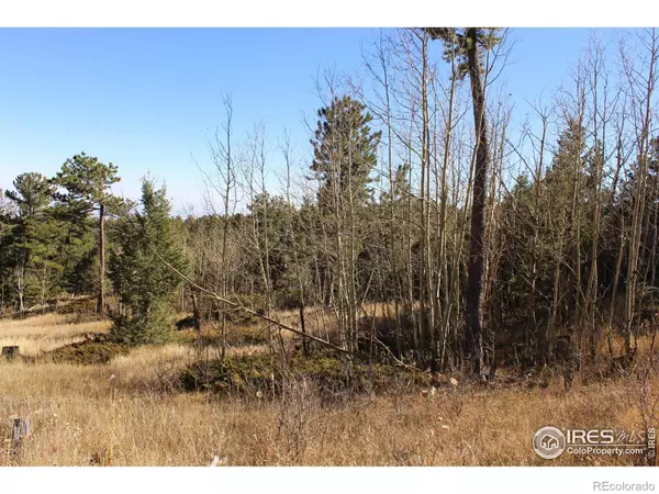 Jamestown, CO 80455,509 Forest Service