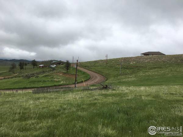 Livermore, CO 80536,64 Bobcat Mountain CT