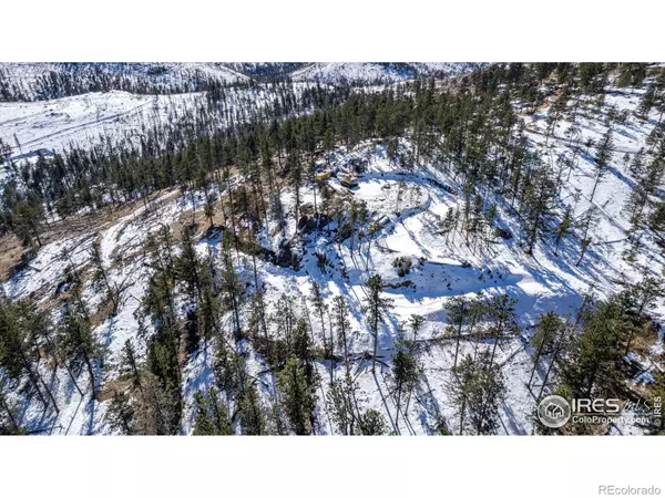 Bellvue, CO 80512,0 TBD Stratton Park Rd Lot 3