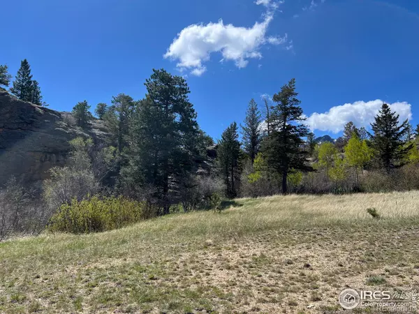 Estes Park, CO 80517,2799 Kiowa CT #Lot 24