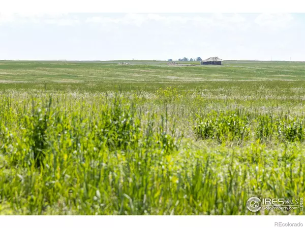 Briggsdale, CO 80611,0 CR 87