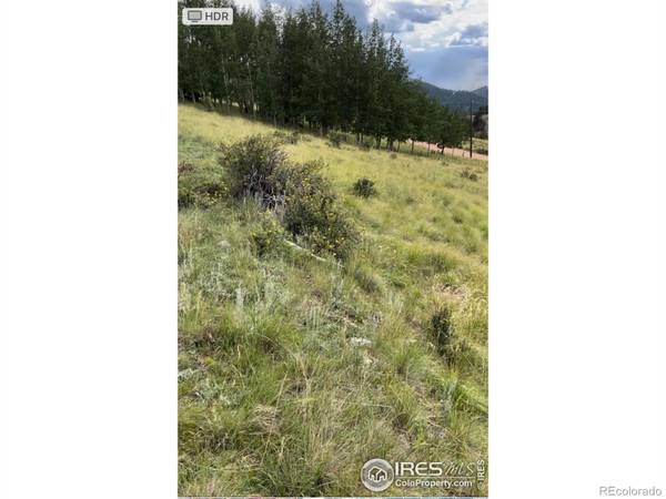 Cripple Creek, CO 80813,1192 Anges DR