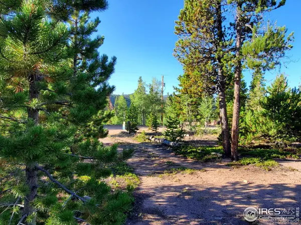 Red Feather Lakes, CO 80545,674 Manso WAY