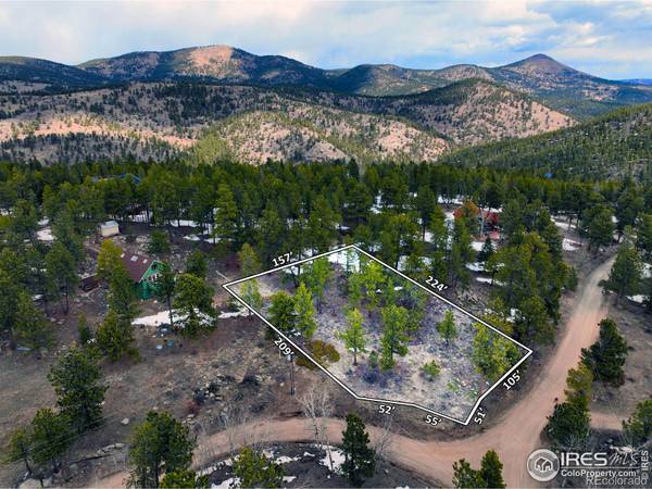 Nederland, CO 80466,45 Shady Hollow