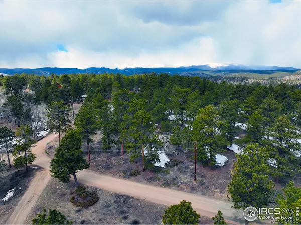 Nederland, CO 80466,45 Shady Hollow