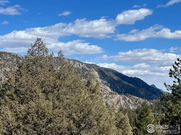 Glen Haven, CO 80532,469 Miller Fork RD