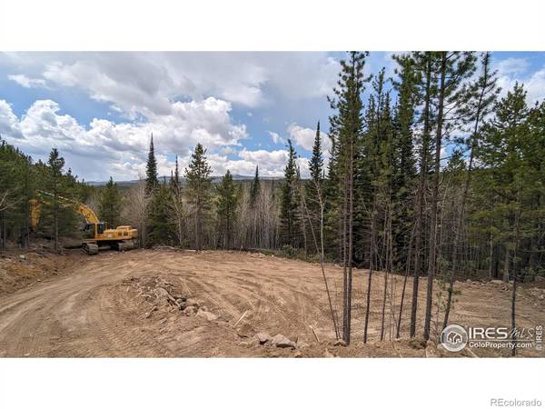 Red Feather Lakes, CO 80545,228 Flathead DR