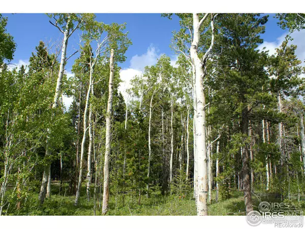 Nederland, CO 80466,72 County Road 126