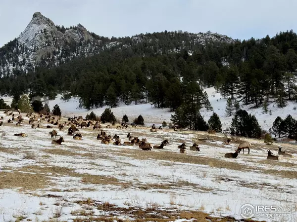 Estes Park, CO 80517,2005 Kendall DR