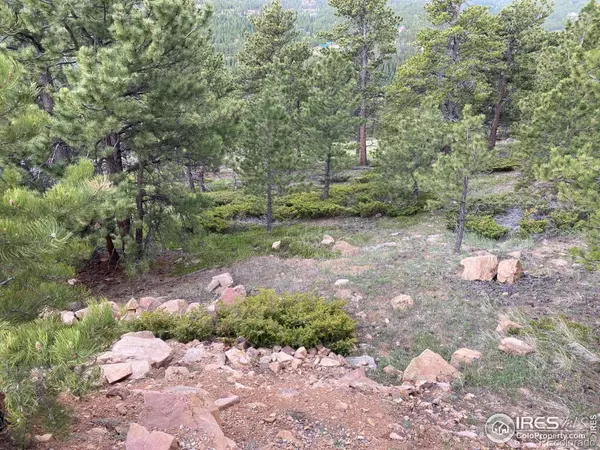 Red Feather Lakes, CO 80545,1147 Osage TRL