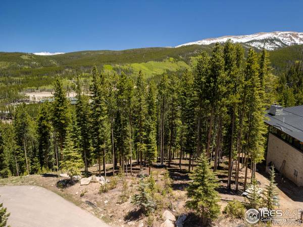 Winter Park, CO 80482,266 Bridger TRL