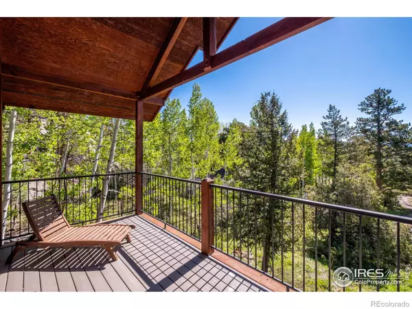 Estes Park, CO 80517,1269 Chasm DR