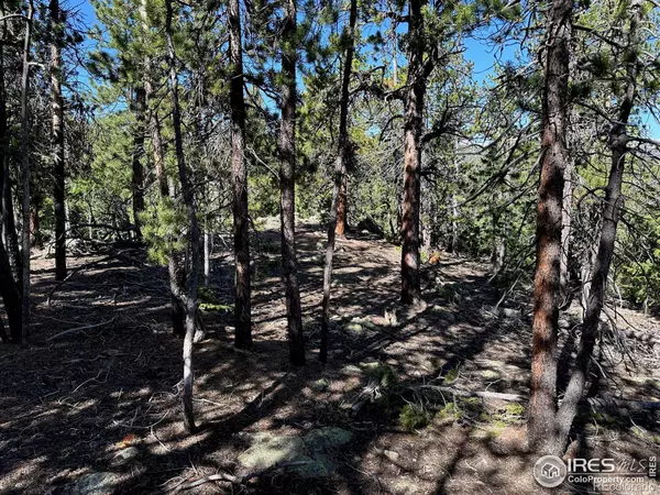 Allenspark, CO 80540,0 Pine Cone CIR #Lot 46