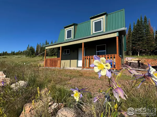 Red Feather Lakes, CO 80545,1189 Mountain Ridge RD