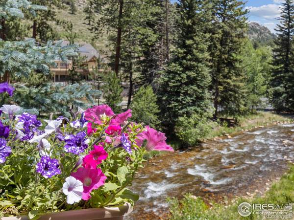 Estes Park, CO 80517,1516 Fish Hatchery RD #9