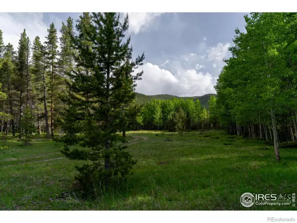 Rollinsville, CO 80474,4871 Tolland RD