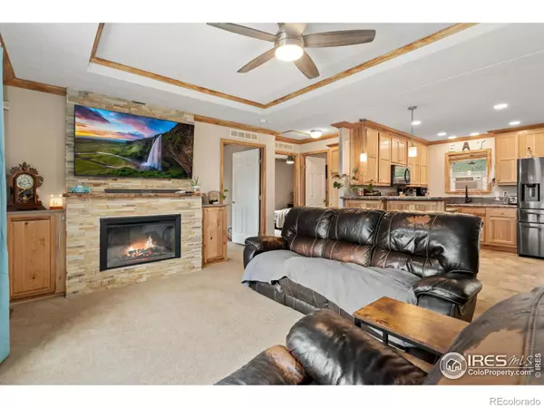 Livermore, CO 80536,551 Bald Mountain DR