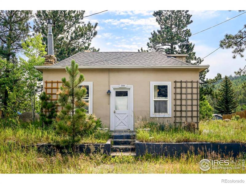 255 S Jackson ST, Nederland, CO 80466