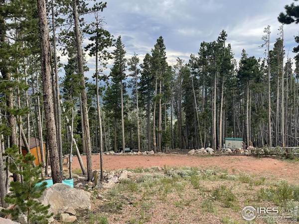 Red Feather Lakes, CO 80545,297 Chickasaw CT