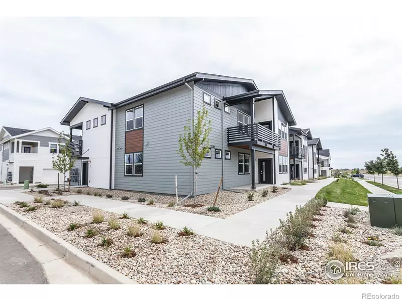 2120 Falling Leaf DR #3, Windsor, CO 80550