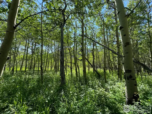 Allenspark, CO 80510,928 Ski RD