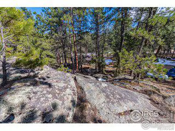 Lyons, CO 80540,31 Balsam DR