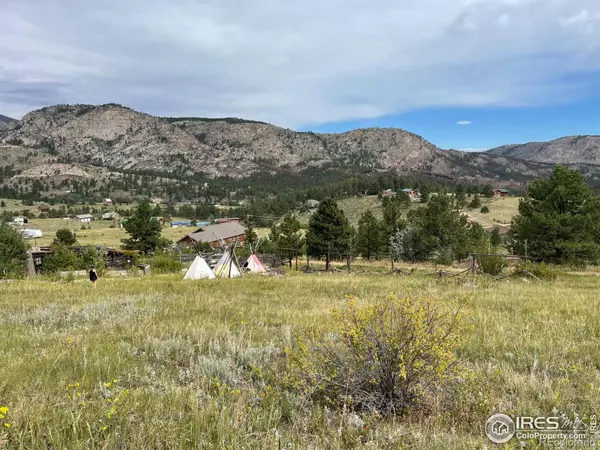 1843 Palisade Mountain DR, Drake, CO 80515