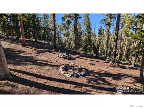 1152 Mosquito DR,  Red Feather Lakes,  CO 80545