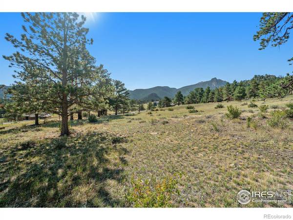 Estes Park, CO 80517,0 Grey Fox DR