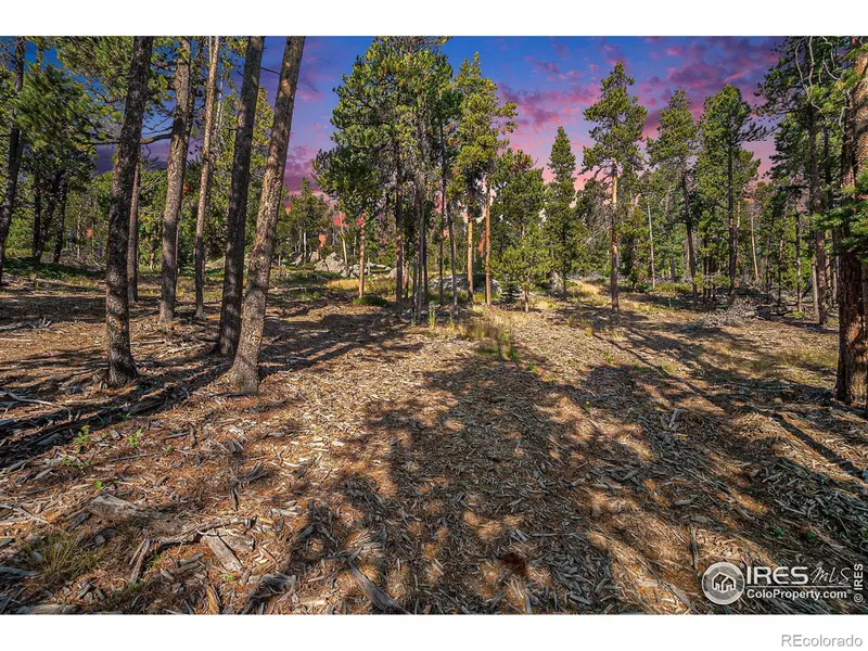 231 Granite DR, Drake, CO 80515