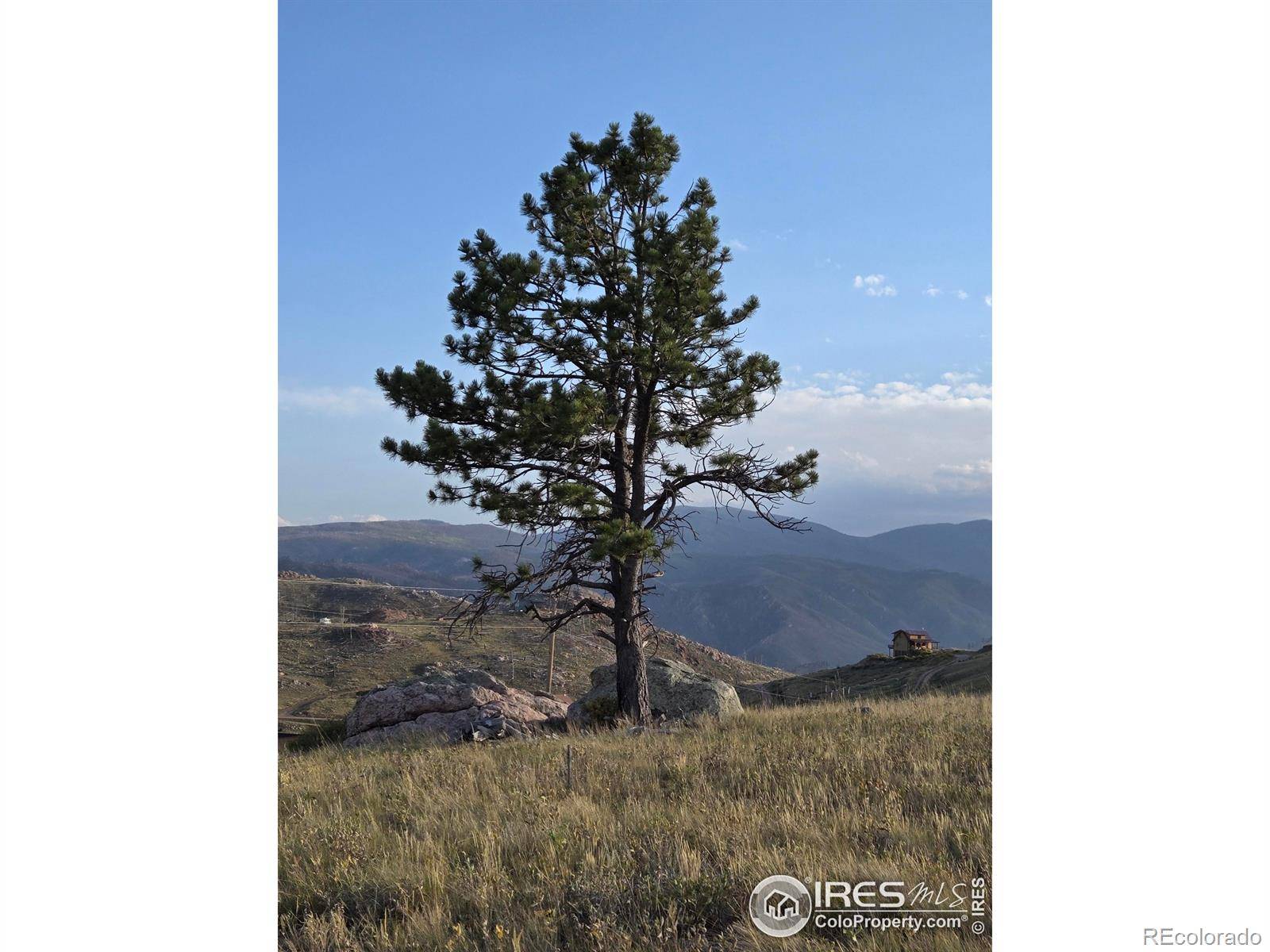 443 Meadow Mountain DR, Livermore, CO 80536
