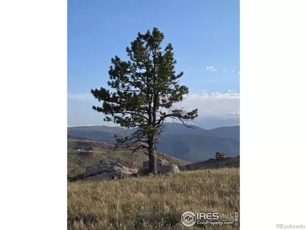 443 Meadow Mountain DR, Livermore, CO 80536