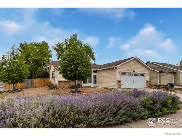 Milliken, CO 80543,200 Mountain Ash CT