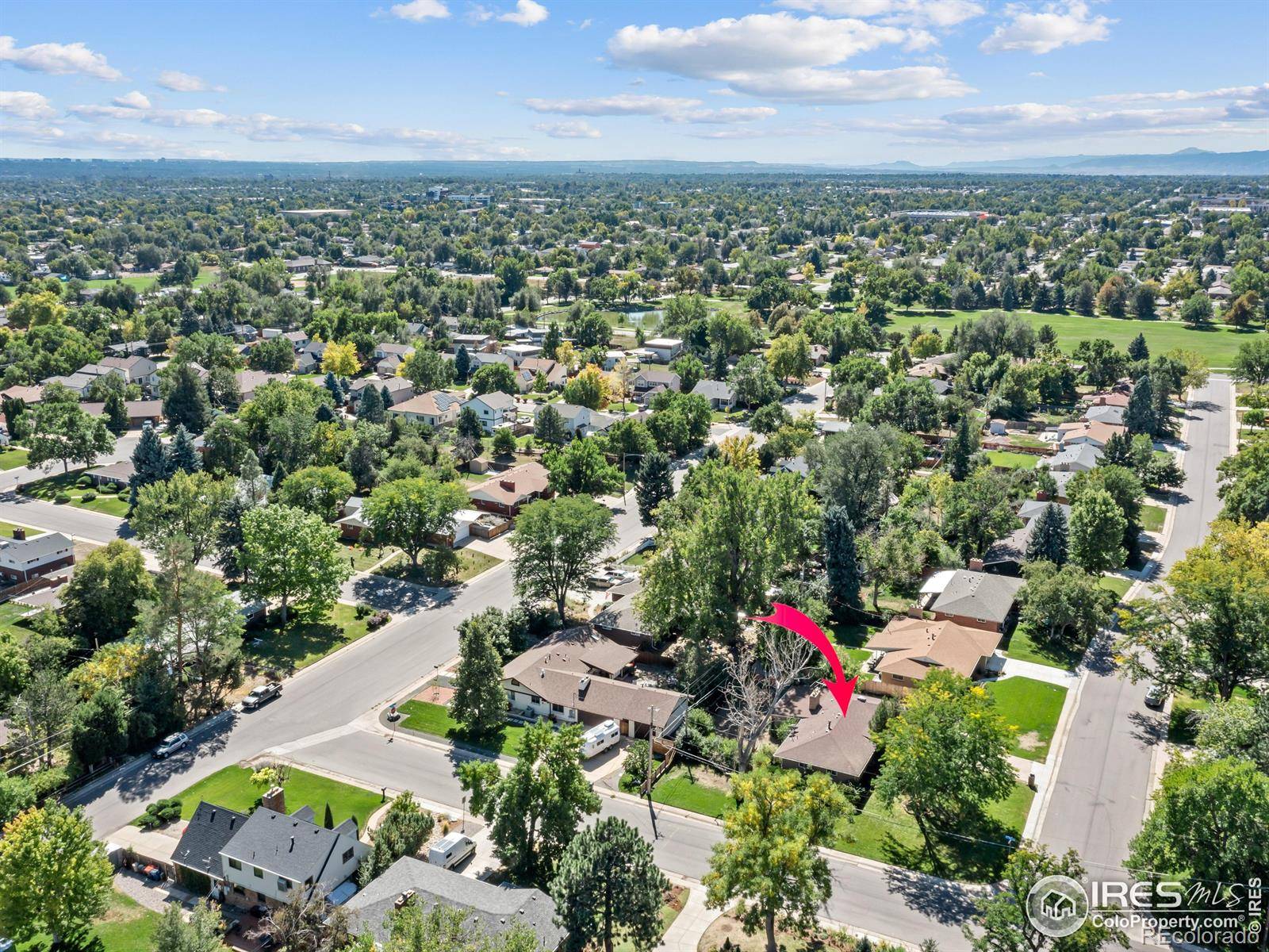 Lakewood, CO 80226,328 Quay ST