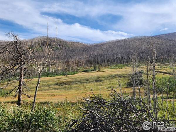 Bellvue, CO 80512,TBD Crystal Mountain RD