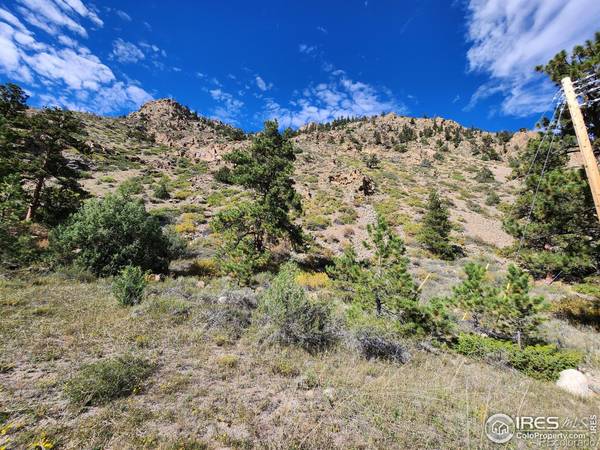 Bellvue, CO 80512,0 TBD Poudre Canyon Road