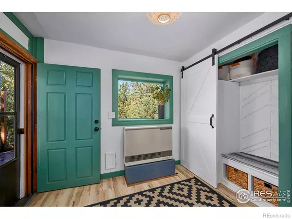 Nederland, CO 80466,17 Barker RD