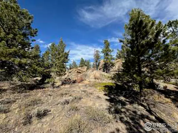 Red Feather Lakes, CO 80545,2921 Fox Acres DR