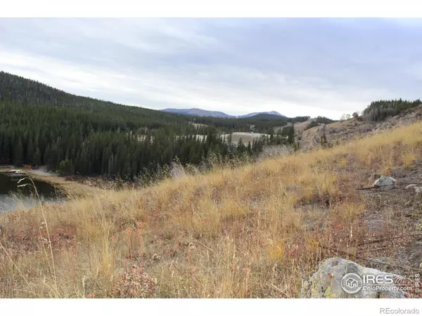 Nederland, CO 80466,0 Lake Eldora Ski RD