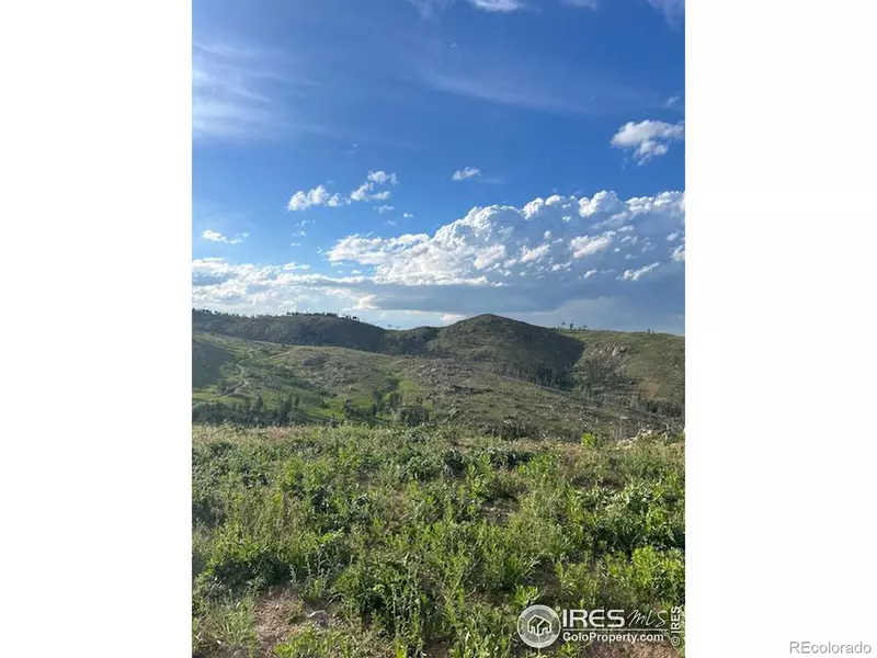 3839 Davis Ranch RD, Bellvue, CO 80512