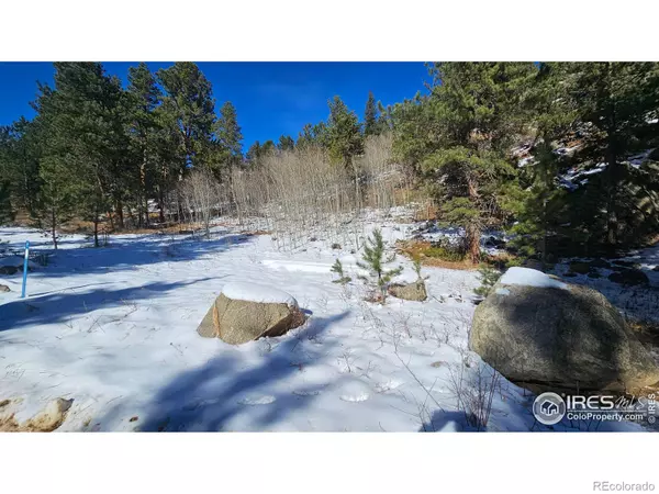 Nederland, CO 80466,0 Cold Springs DR