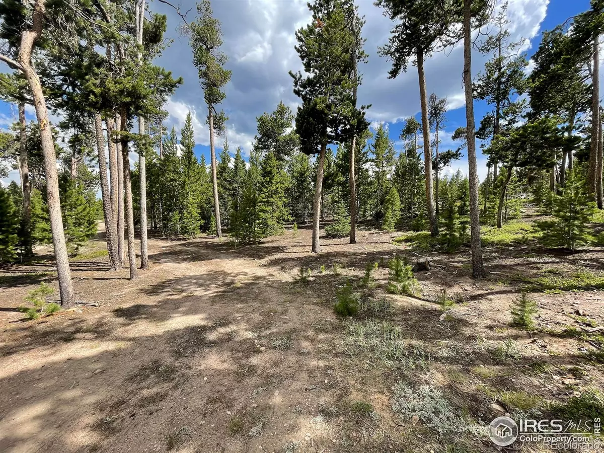 Red Feather Lakes, CO 80545,1482 Shoshoni DR