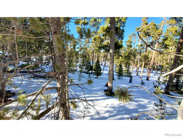 Red Feather Lakes, CO 80545,1482 Shoshoni DR