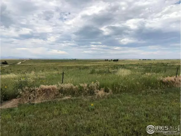 Lot H County Road 43 and 96,  Pierce,  CO 80650