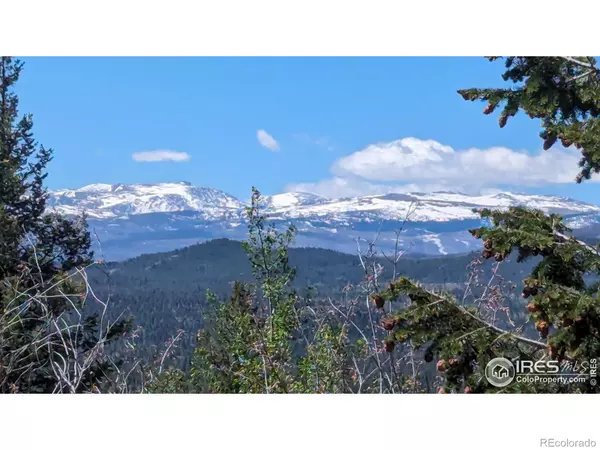 250 Mattapony WAY, Red Feather Lakes, CO 80545