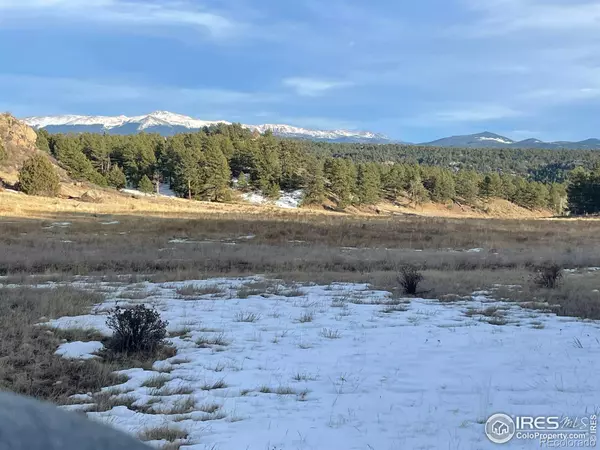 Florissant, CO 80816,0 Langnis RD