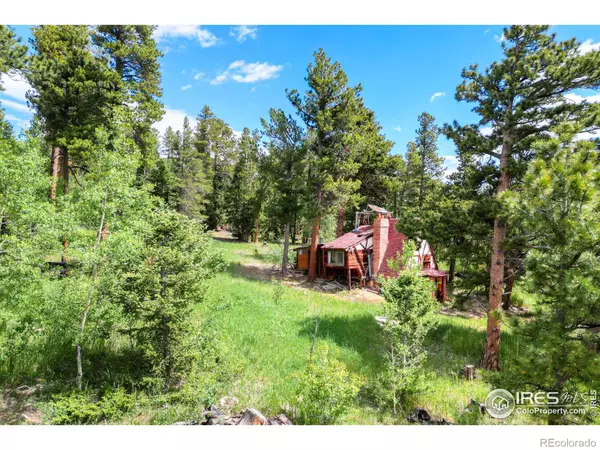 Nederland, CO 80466,1569 County Road 103