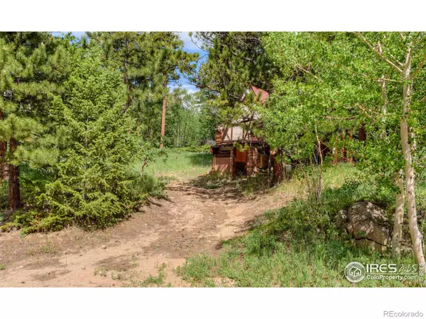 Nederland, CO 80466,1569 County Road 103